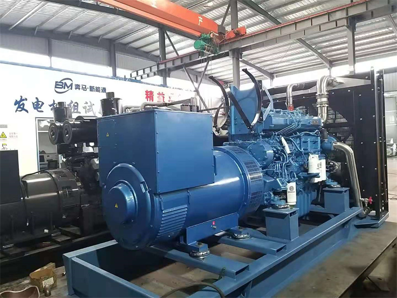 郯城縣機關(guān)事務(wù)服務(wù)中心濰柴動力500KW機組